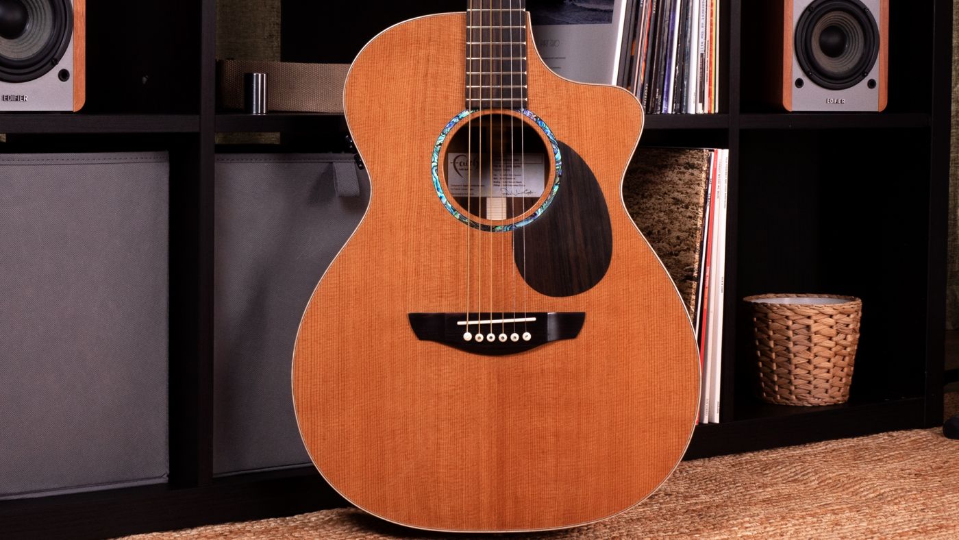 What is Torrefied Wood?