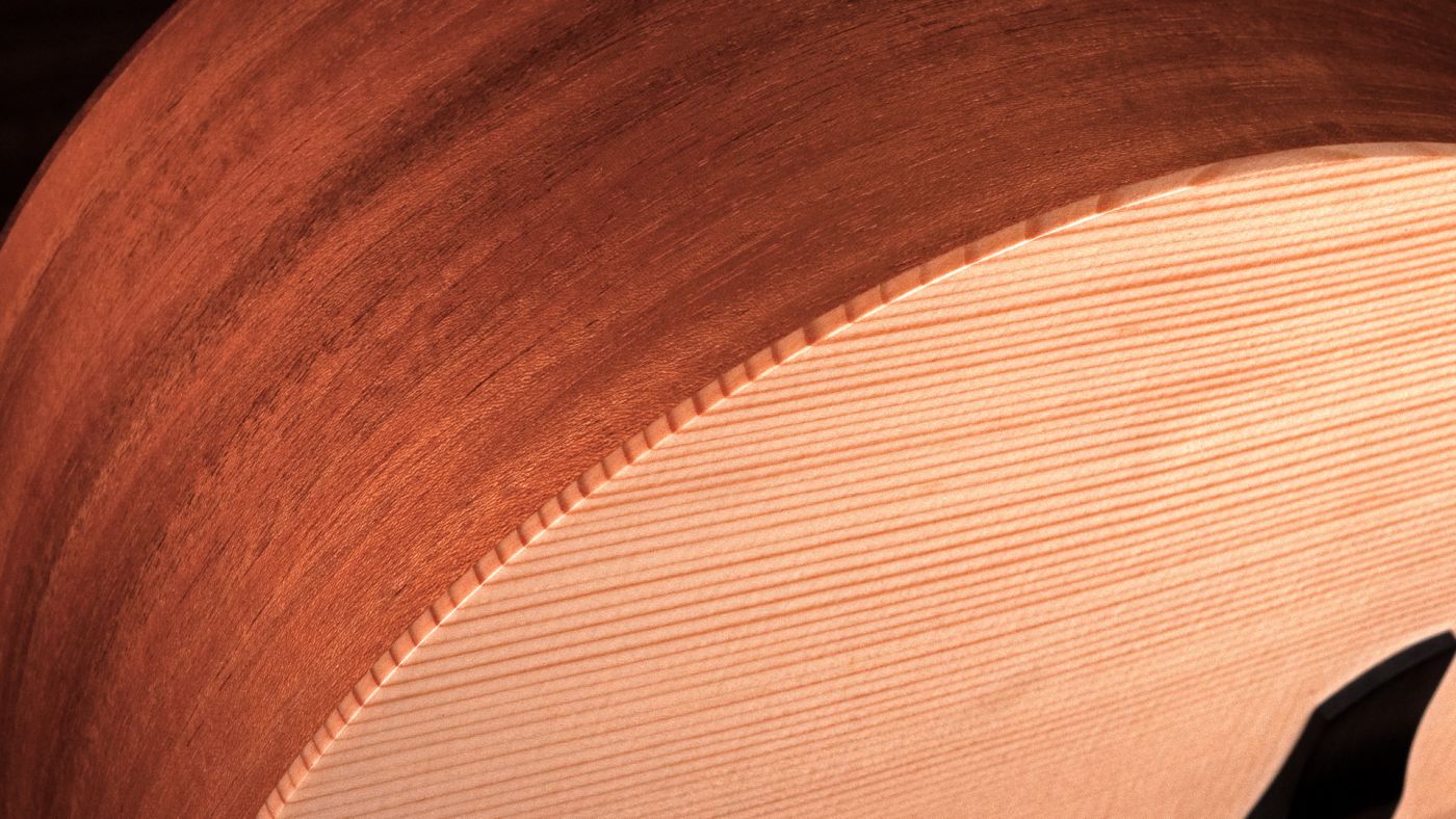 Which tonewoods are used and why?