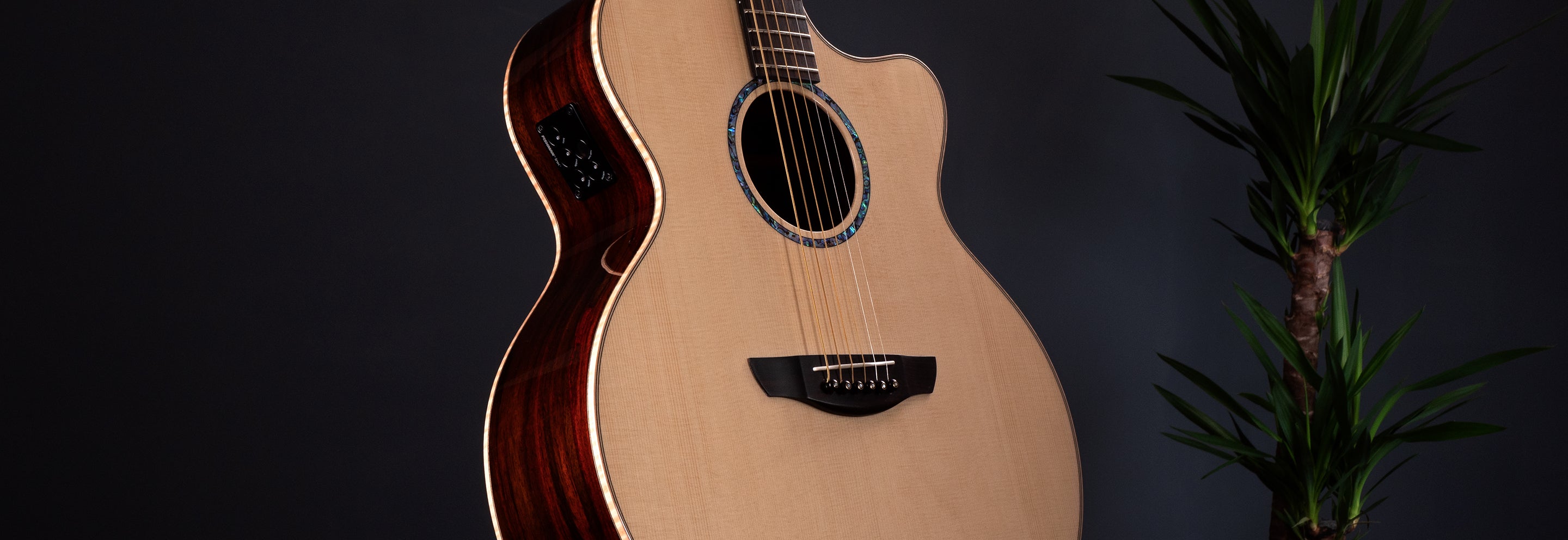Jupiter Cutaway – Faith Guitars