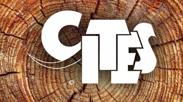 CITES - Is Rosewood Illegal? (No!)